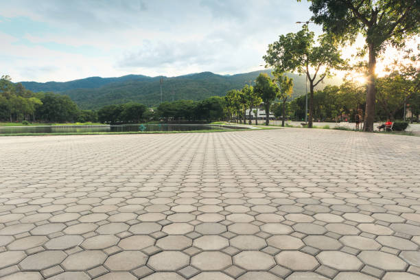 Best Residential Paver Driveway  in Pine Hills, CA